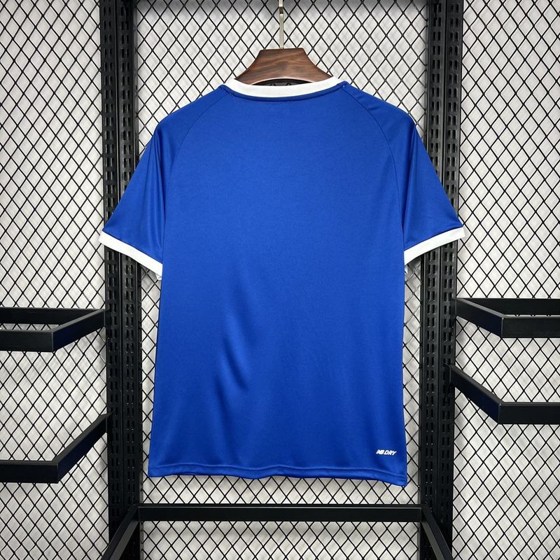 MAILLOT CARDIFF DOMICILE 2024/2025