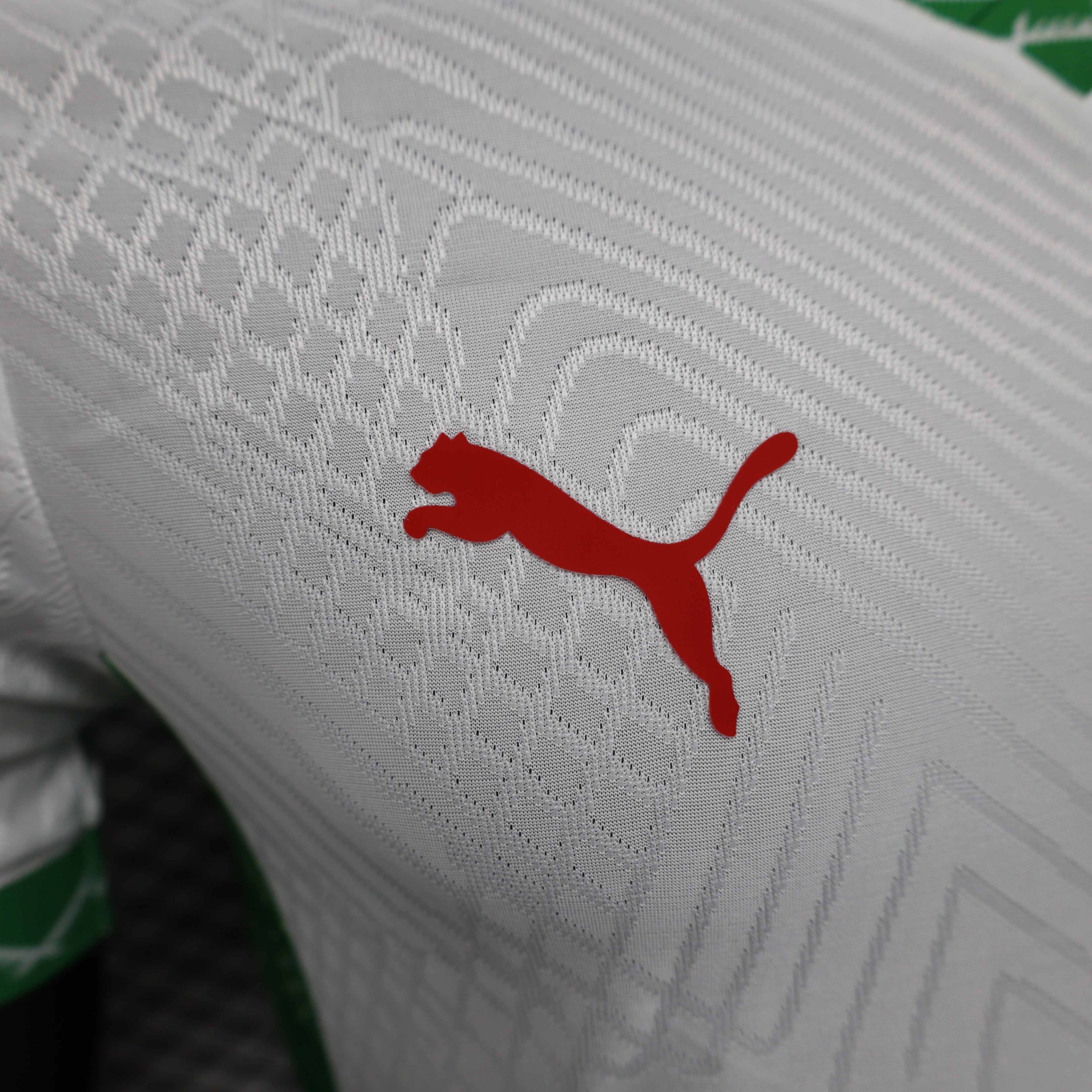 MAILLOT MAROC EXTERIEUR 2024/2025