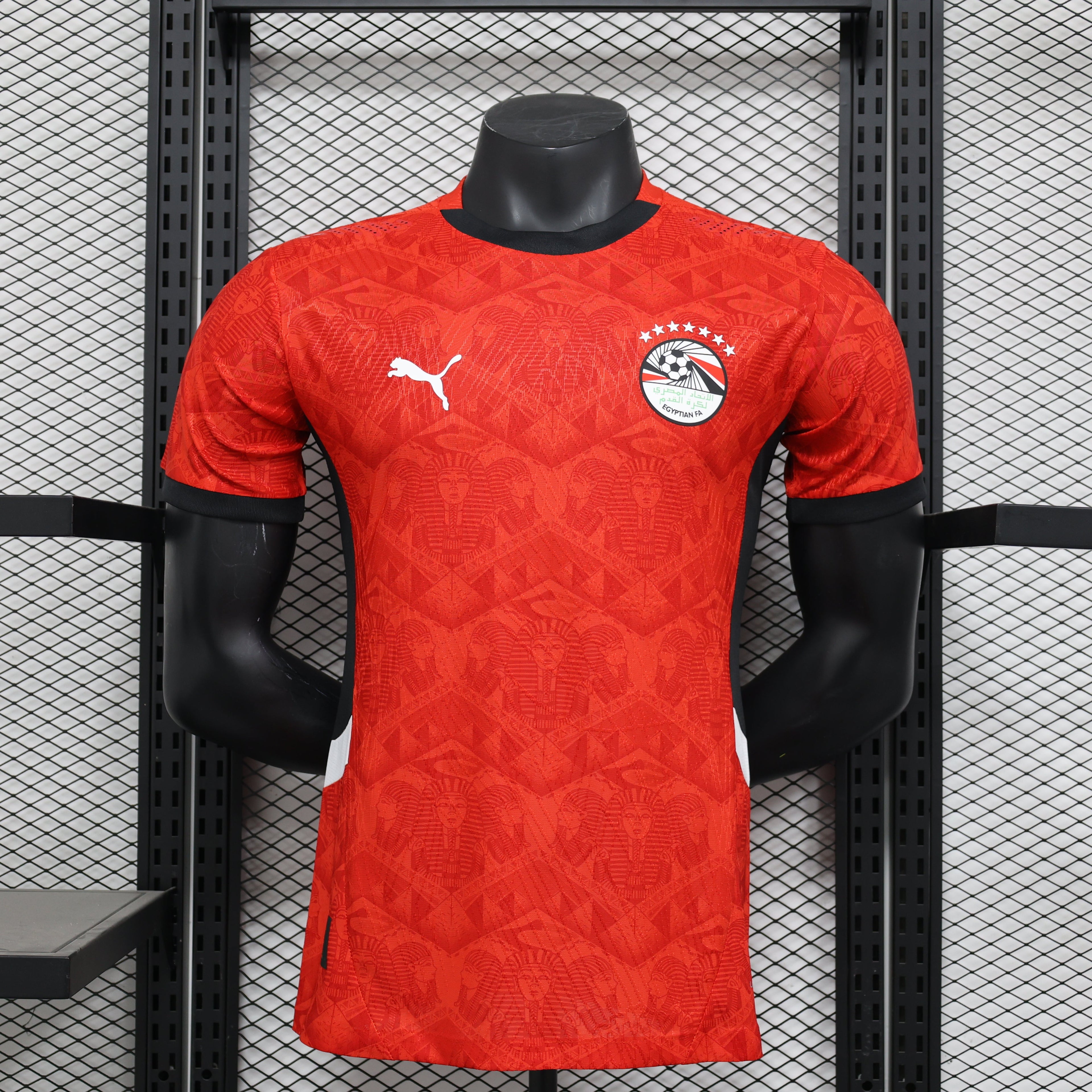 MAILLOT ÉGYPTE DOMICILE 2024/2025