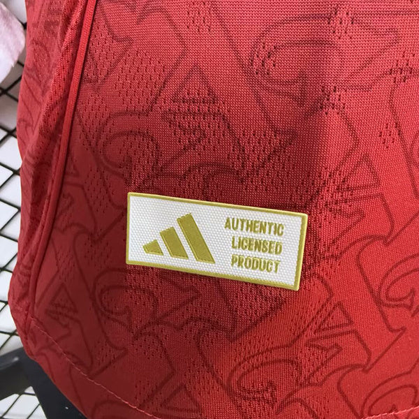 MAILLOT ARSENAL DOMICILE MANCHES LONGUES 2025/2026